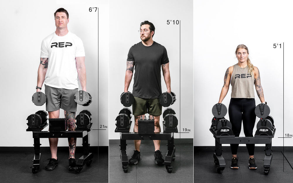 Dumbbell Stand front Views different heights users from Rep Fitness UK  Shop Premium Gym Equipment for Home & Commercial Use Online